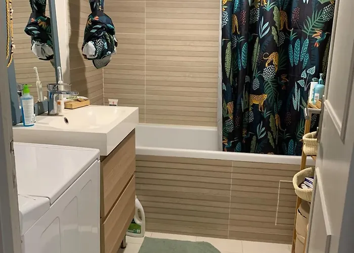 Cozy Sud 公寓 波尔多